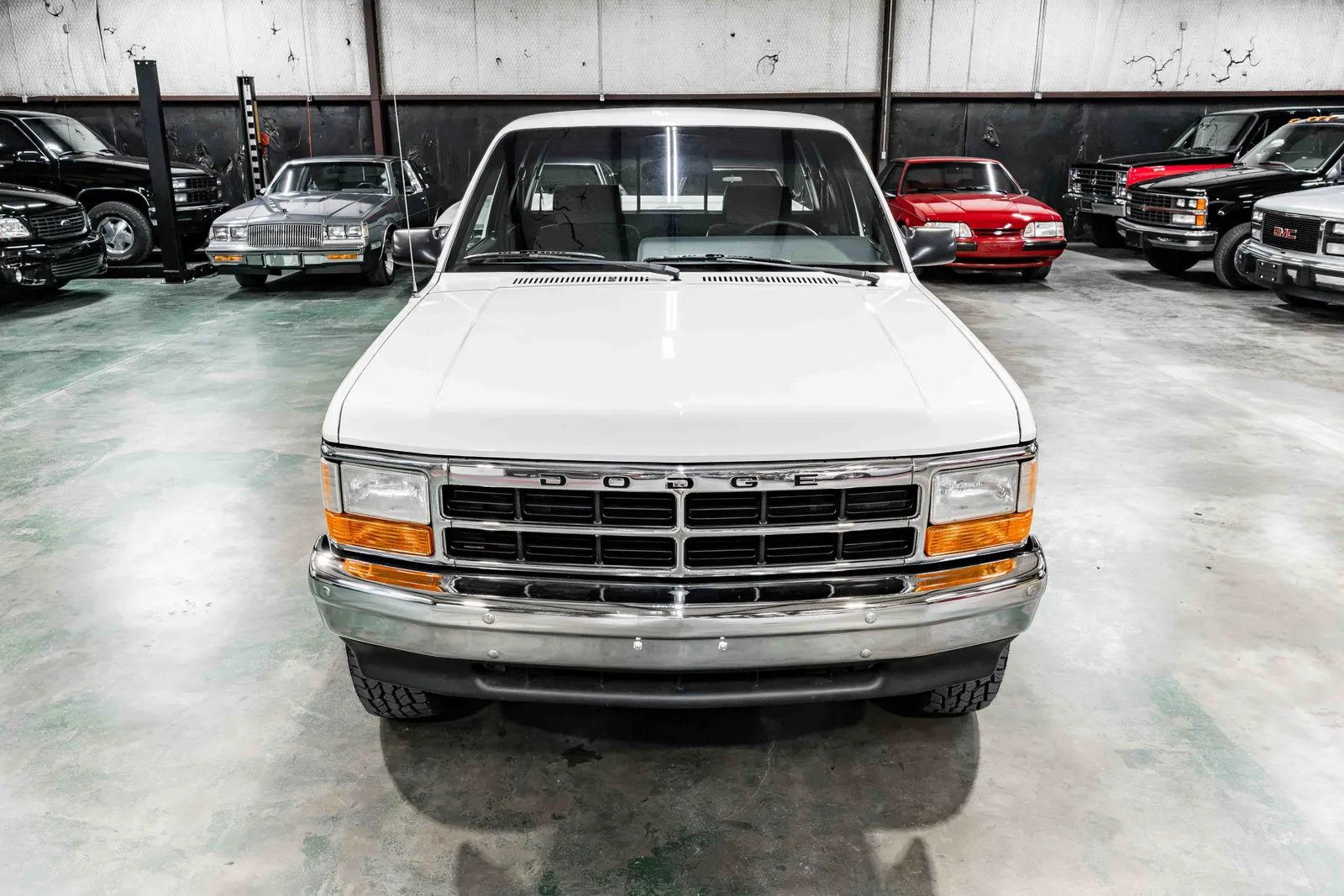 1992-Dodge-Dakota-Bright White Silver Metallic-597743-40.jpg